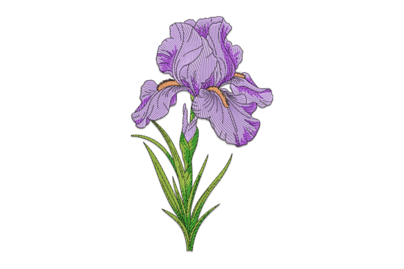 A Practical Review of Purple Iris Embroidery Design