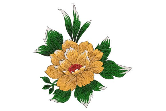 Bold Orange Peony: A Designer’s Review for Boutique Apparel