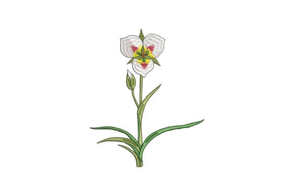 Sego Lily Bloom: A Designer's Honest Review